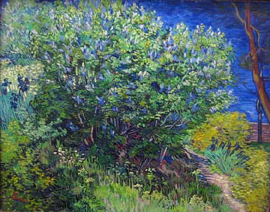 Vincent van Gogh (1853-1890): Lilac Bush (1889)